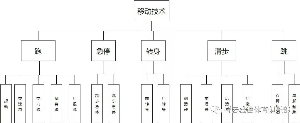 篮球训练直播_2